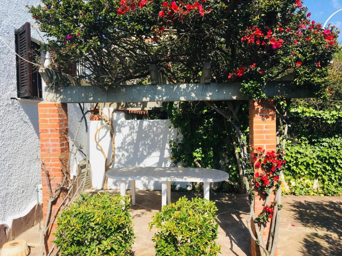 Apartamentos Tres Playas Altamar Alcossebre Zewnętrze zdjęcie